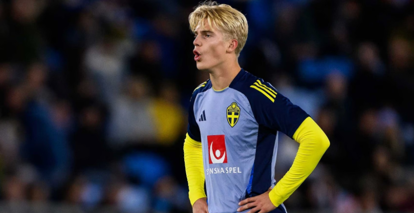 案例分析 案例分析