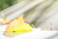 中经验不足 中经验不足