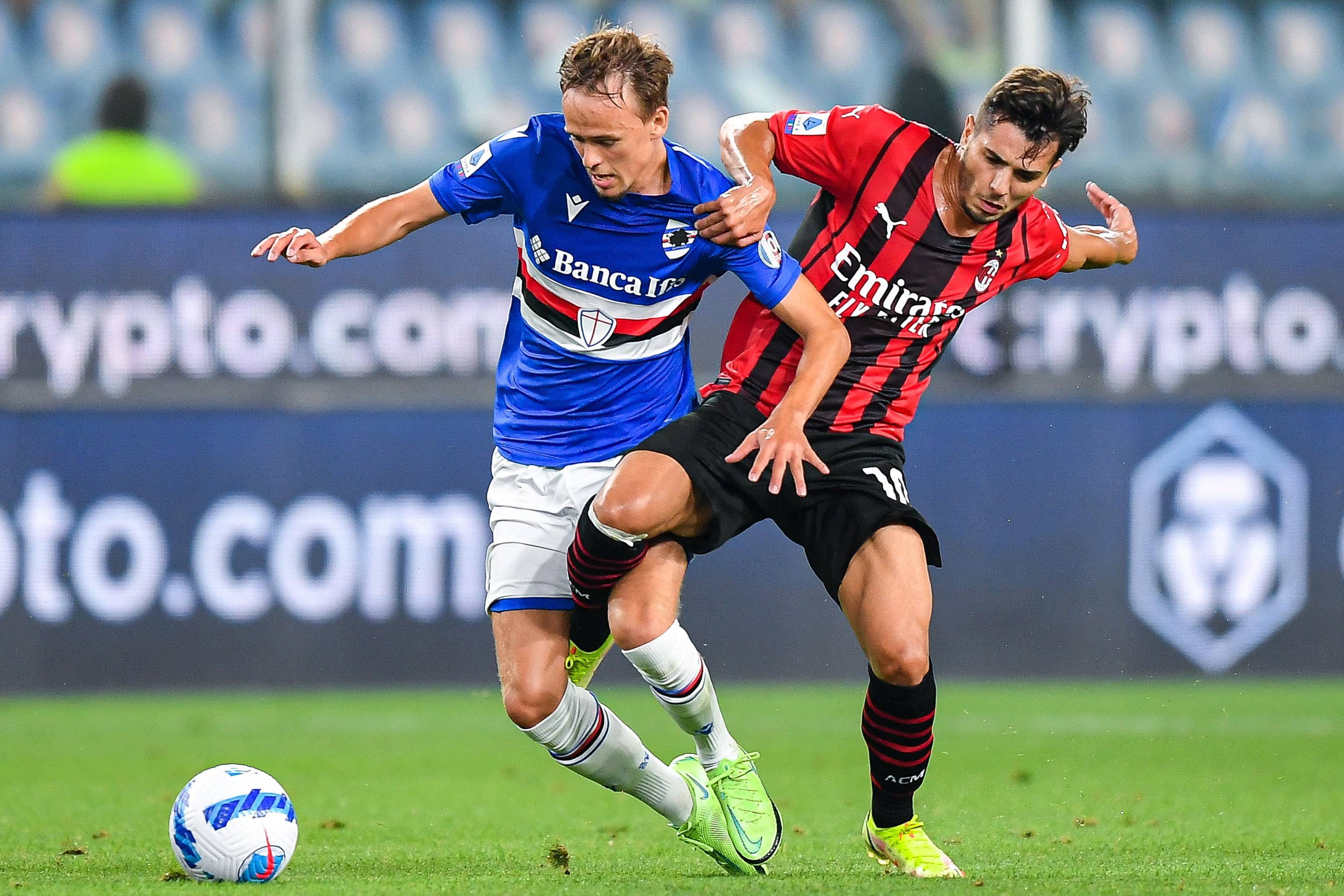 排的核心球 排的核心球