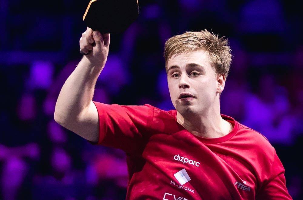 北美劲旅美 北美劲旅美